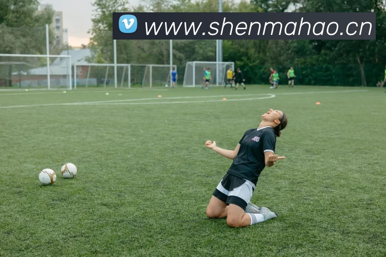 开云·kaiyun体育(中国大陆)官方网站 登录入口APP 封面图